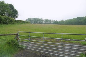 Photo 1- click for photo gallery